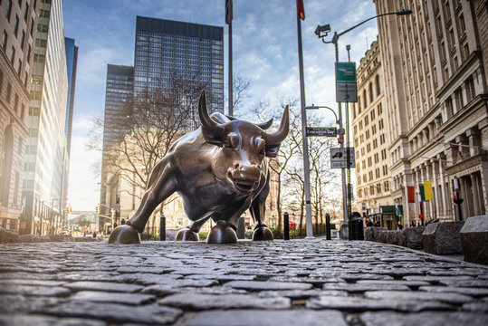 Charging Bull