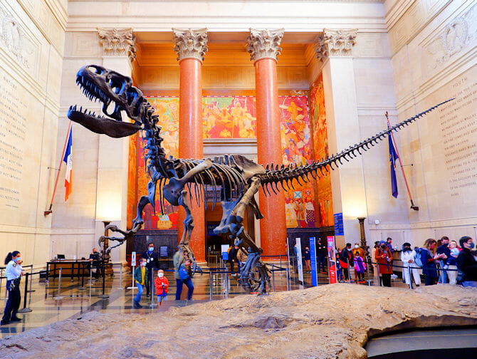 Museu de História Natural