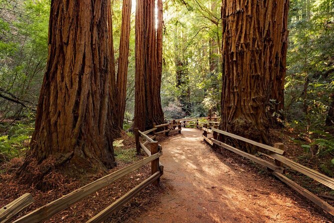 Muir Woods and Sausalito.